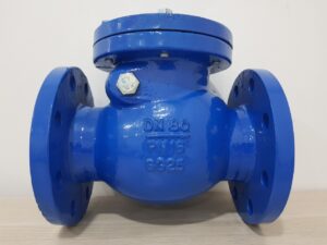 CI-SWING -CHECK -EPOXY-PN16 - ARITA